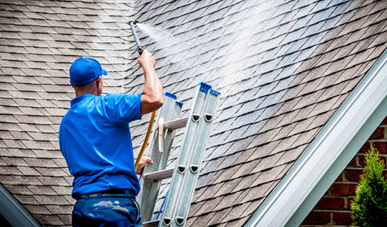 Roof Cleaning