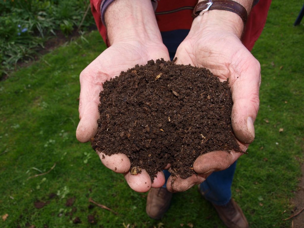 Composting 101-Easy and Environmentally Friendly