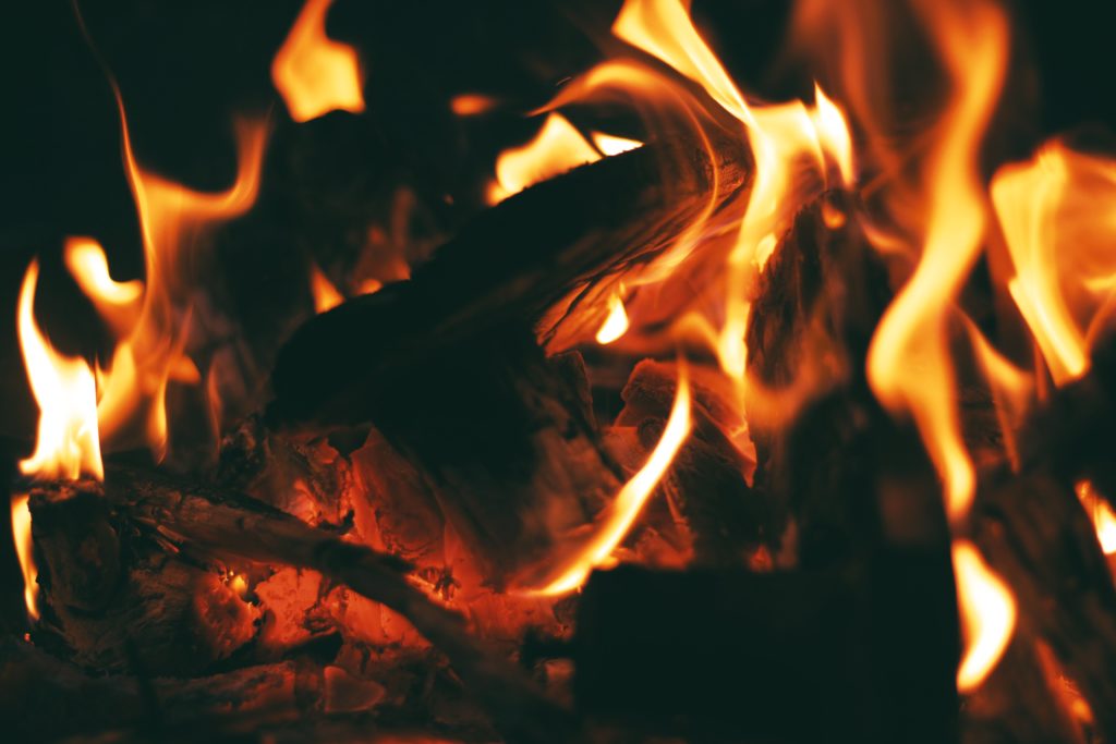 A Fire Pit and Friends