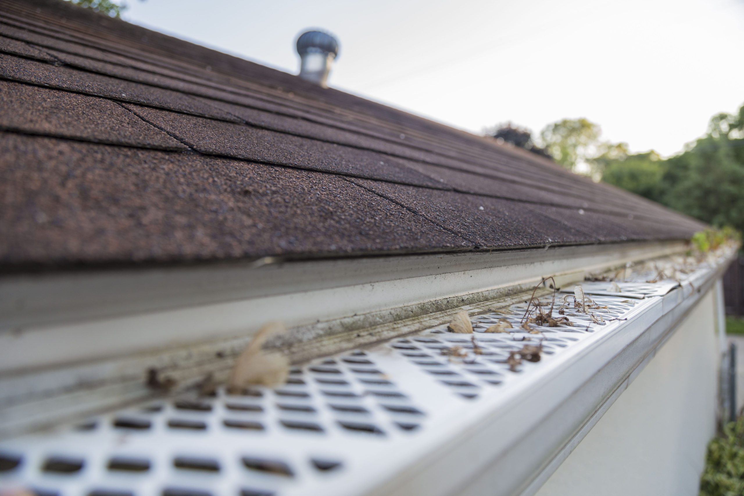 Are gutter guards worth the cost?