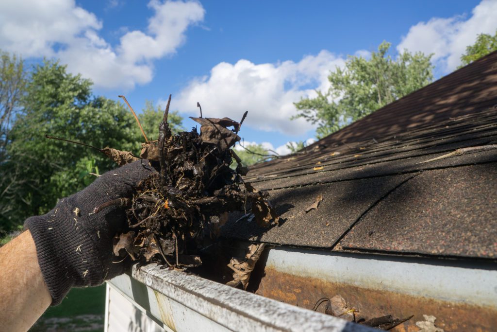 Why Do Gutters Get Clogged?